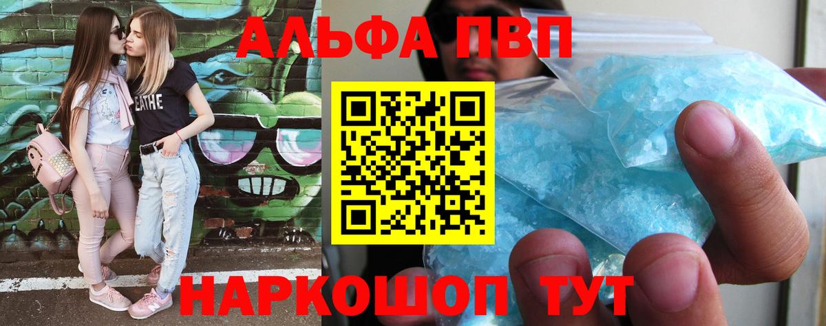 A PVP СК Новокубанск