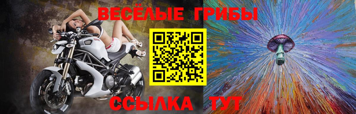 Псилоцибиновые грибы MAGIC MUSHROOMS Новокубанск